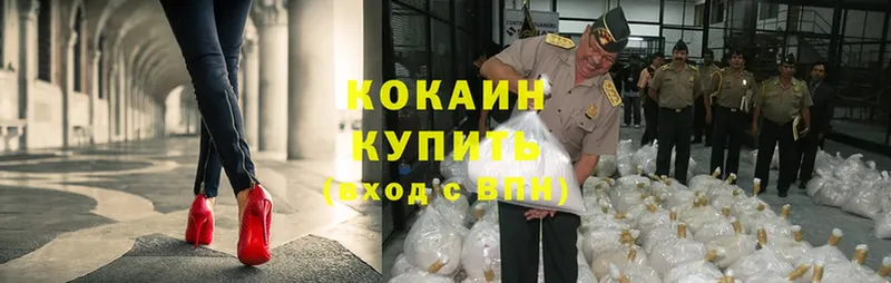 Cocaine Fish Scale Зубцов